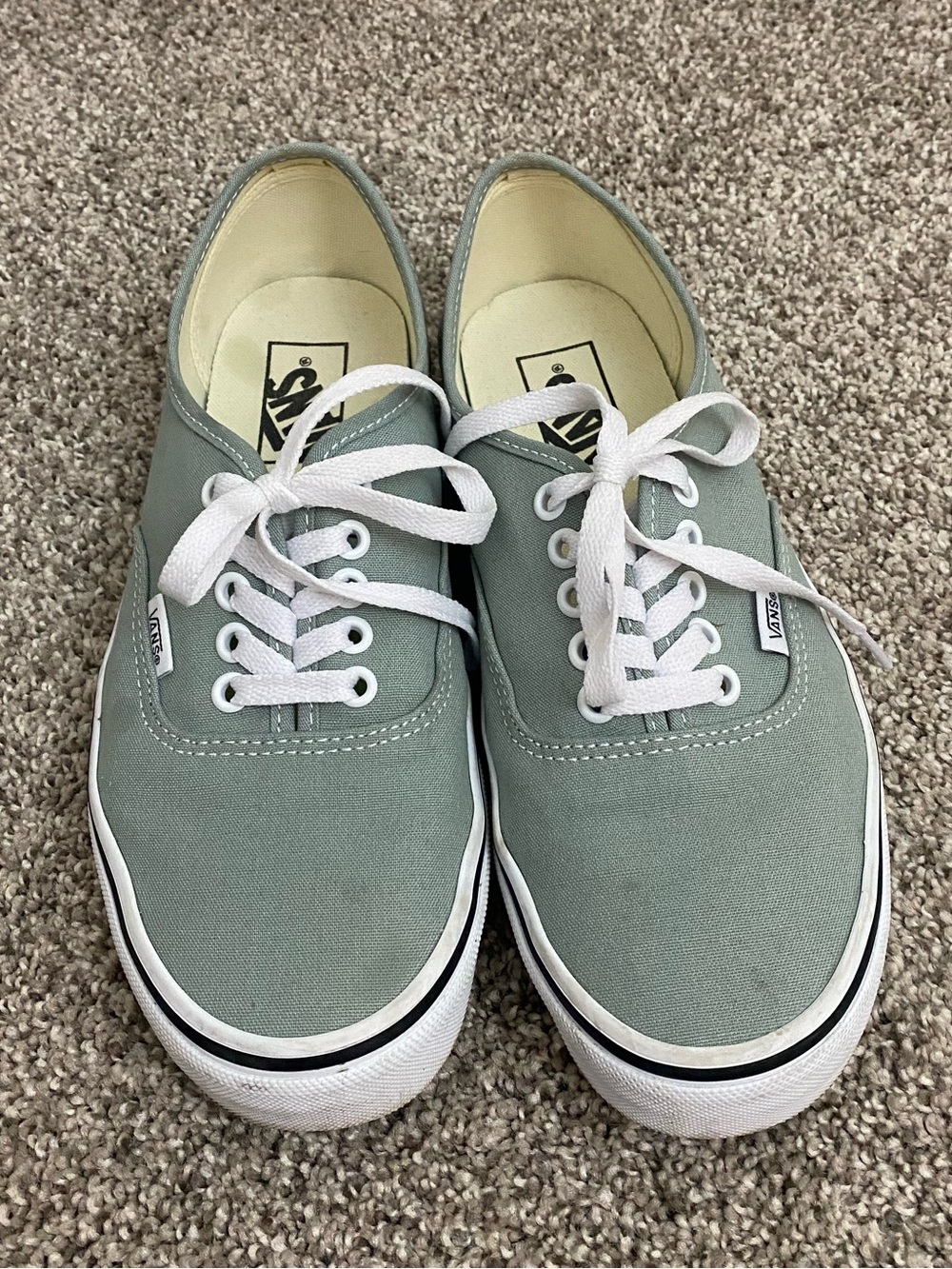 Vans Authentic Low-Top Sneakers in Grey